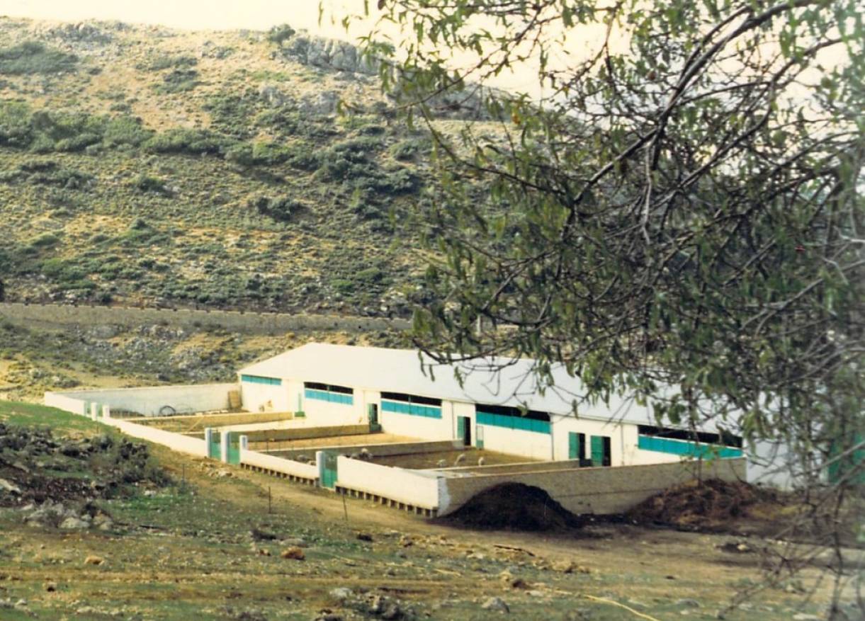 Bestaand - Villa - Ronda