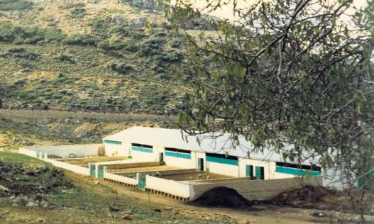 Bestaand - Villa - Ronda