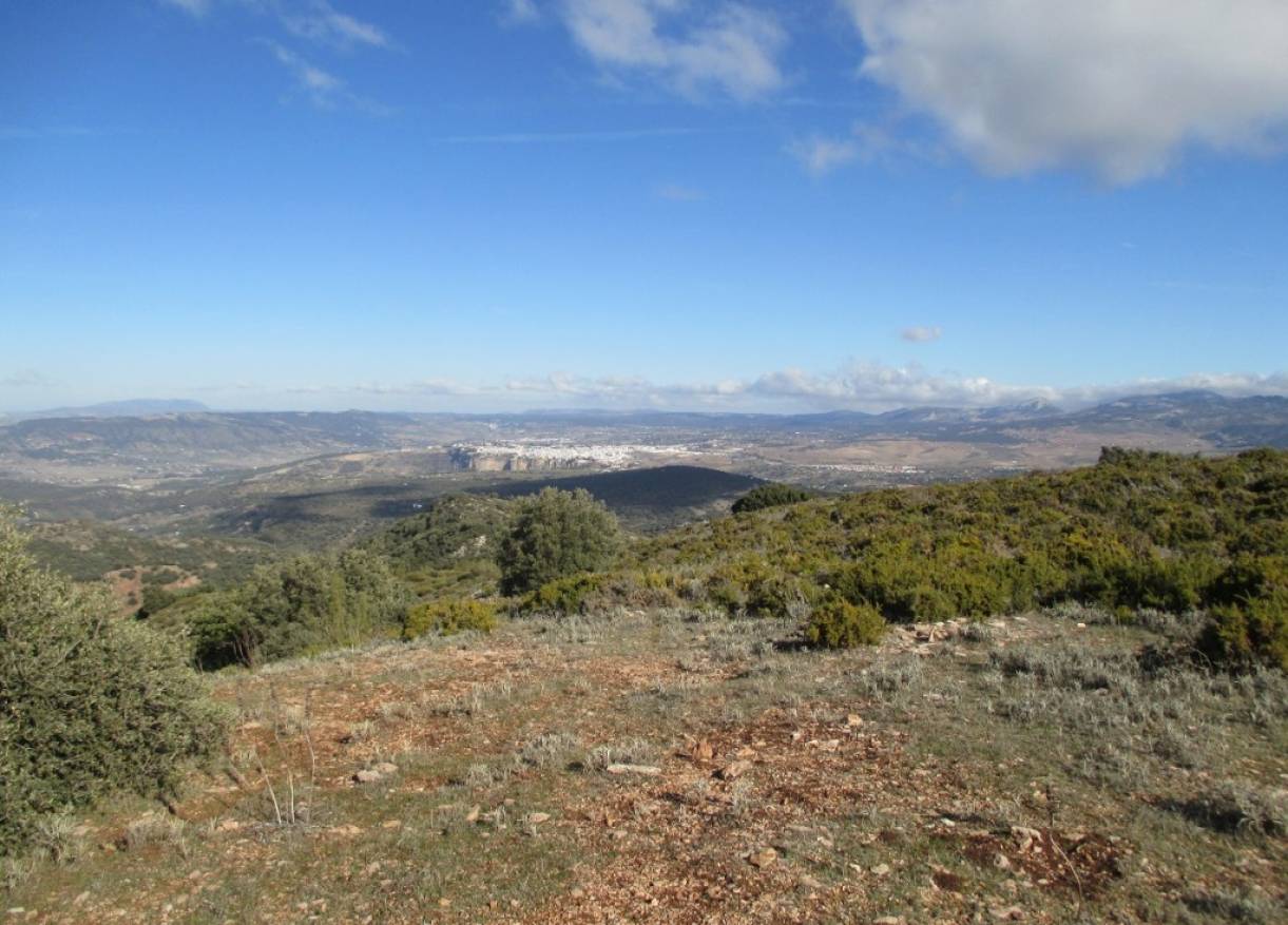 Bestaand - Villa - Ronda