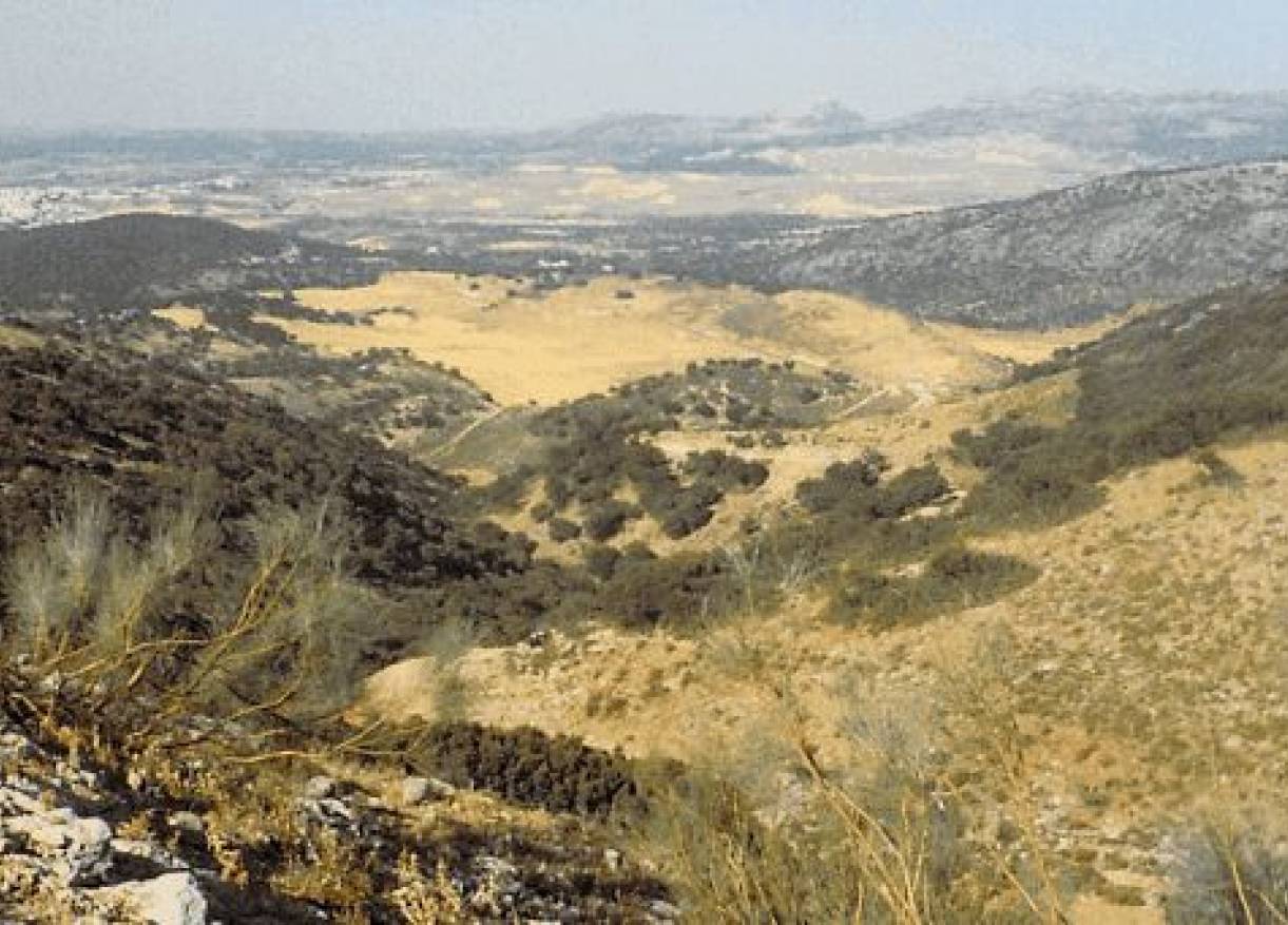 Bestaand - Villa - Ronda