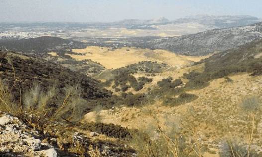 Bestaand - Villa - Ronda