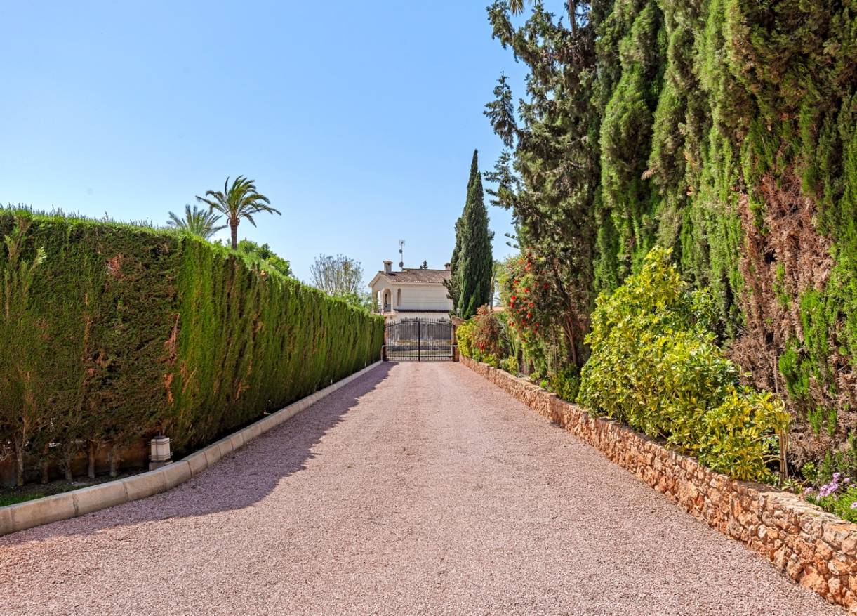 Bestaand - Villa - Elche - Elche/Elx