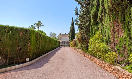 Bestaand - Villa - Elche - Elche/Elx