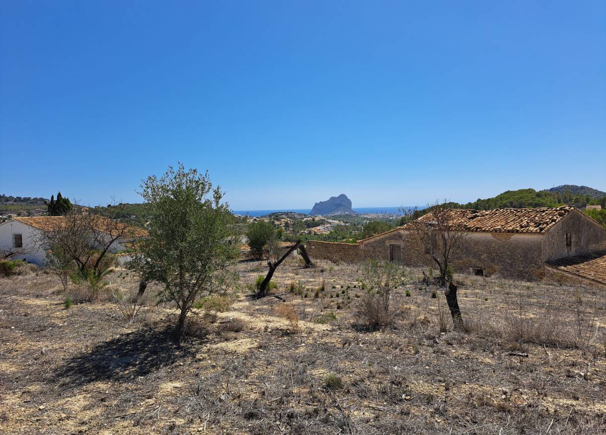 Bestaand - Finca - Calpe
