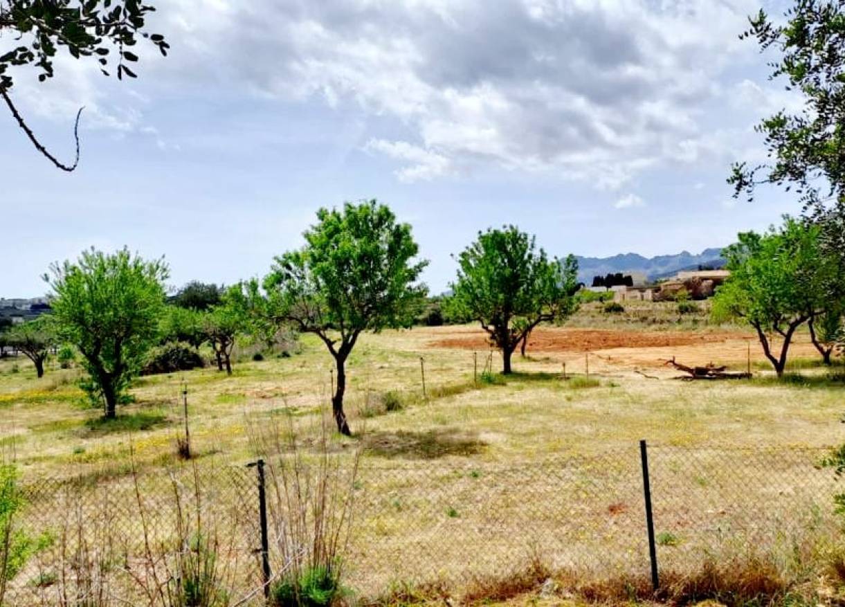 Bestaand - Villa - Jalón Valley - Jalon