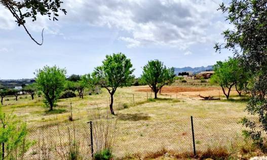 Bestaand - Villa - Jalón Valley - Jalon