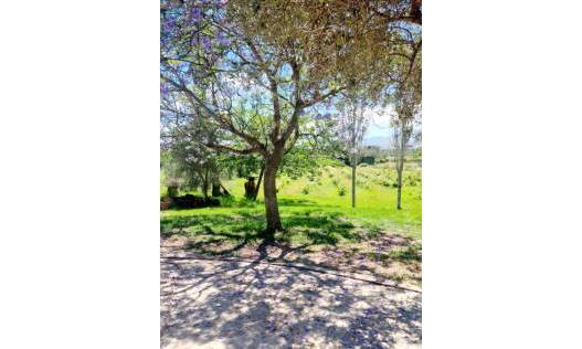 Bestaand - Villa - Jalón Valley - Jalon