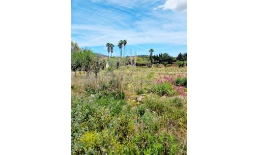Bestaand - Villa - Jalón Valley - Jalon
