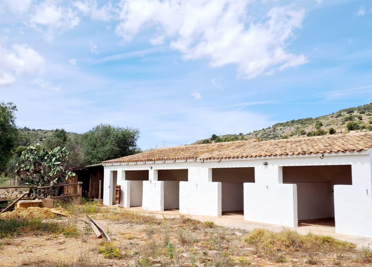 Bestaand - Villa - Jalón Valley - Jalon