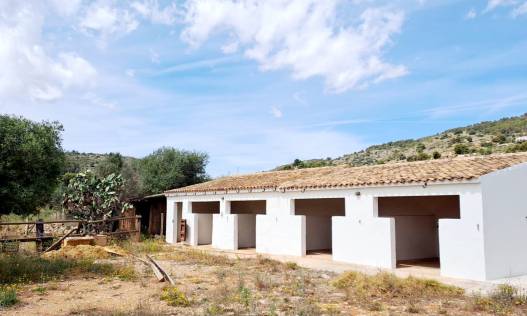 Bestaand - Villa - Jalón Valley - Jalon