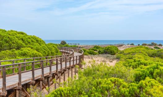 Bestaand - Townhouse / Semi-detached - Gran Alacant
