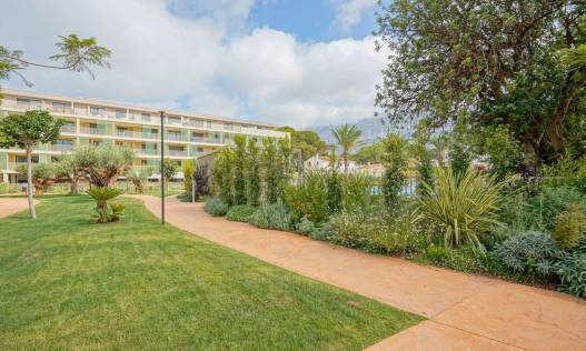 Bestaand - Appartement - Denia