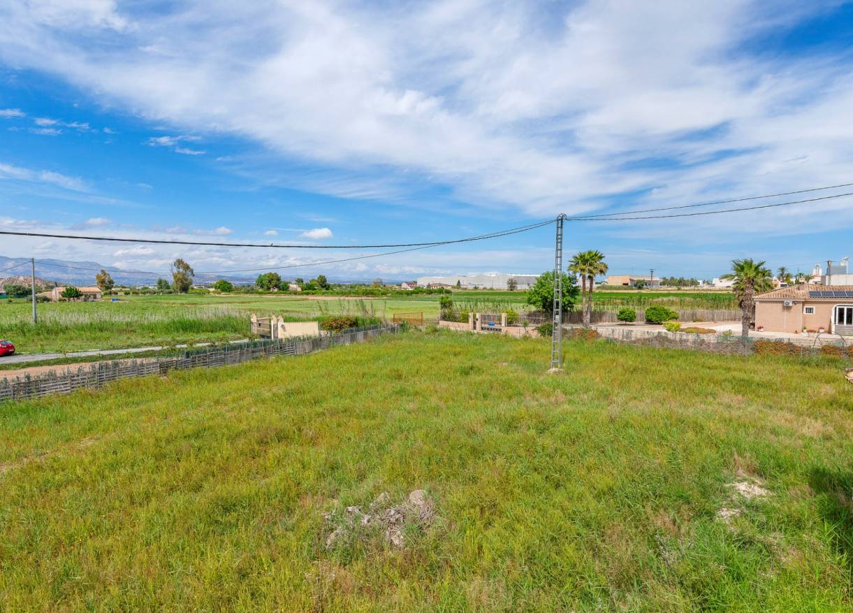 Bestaand - Finca - Callosa De Segura