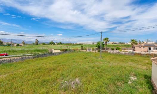 Bestaand - Finca - Callosa De Segura