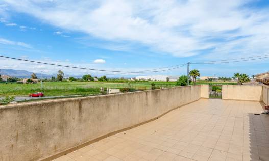 Bestaand - Finca - Callosa De Segura