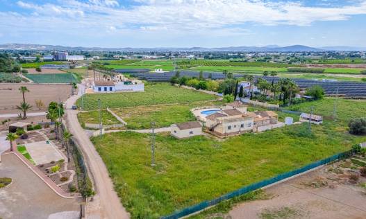 Bestaand - Finca - Callosa De Segura