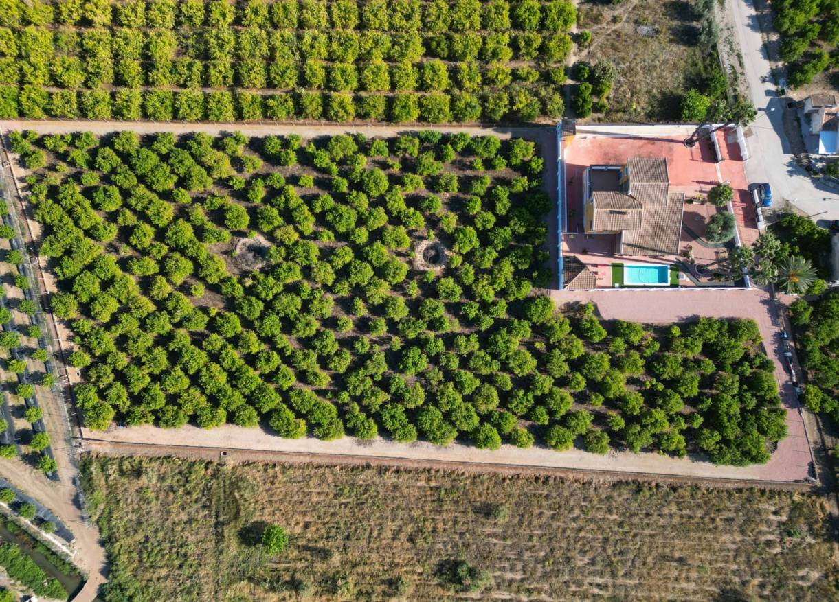 Bestaand - Finca / Country Property - Orihuela Costa - Orihuela