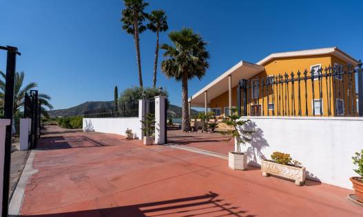 Bestaand - Finca / Country Property - Orihuela Costa - Orihuela