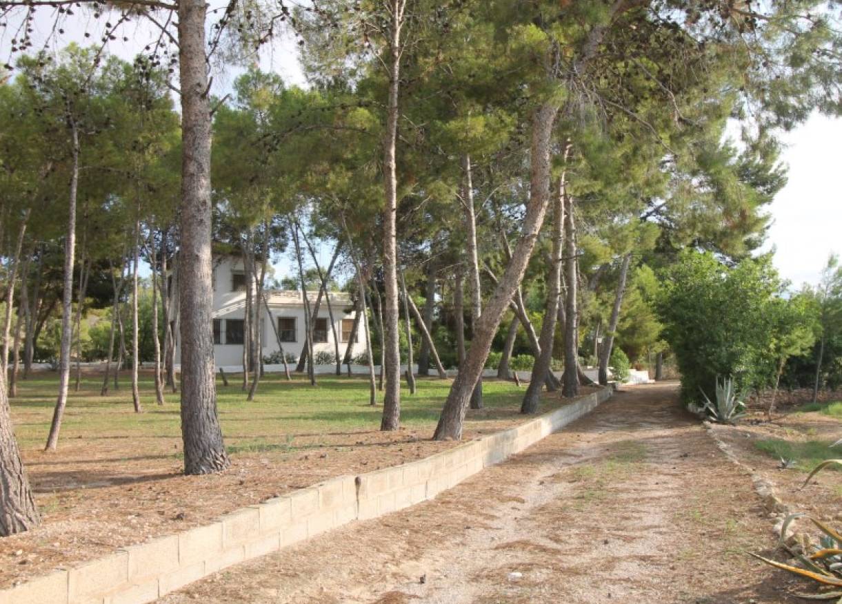 Bestaand - Villa - Aspe - Pedanías Este
