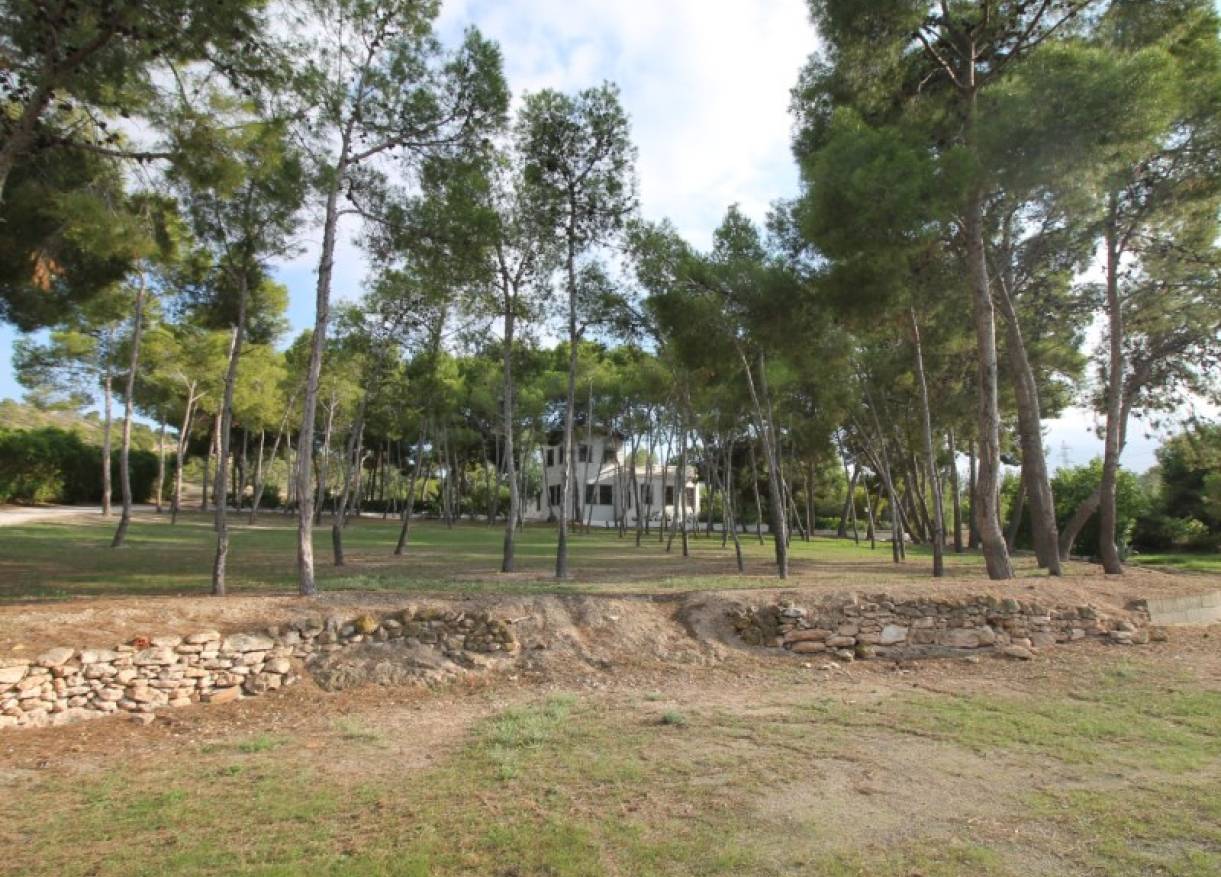 Bestaand - Villa - Aspe - Pedanías Este