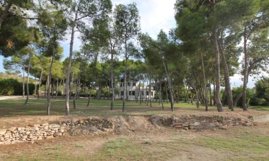 Bestaand - Villa - Aspe - Pedanías Este