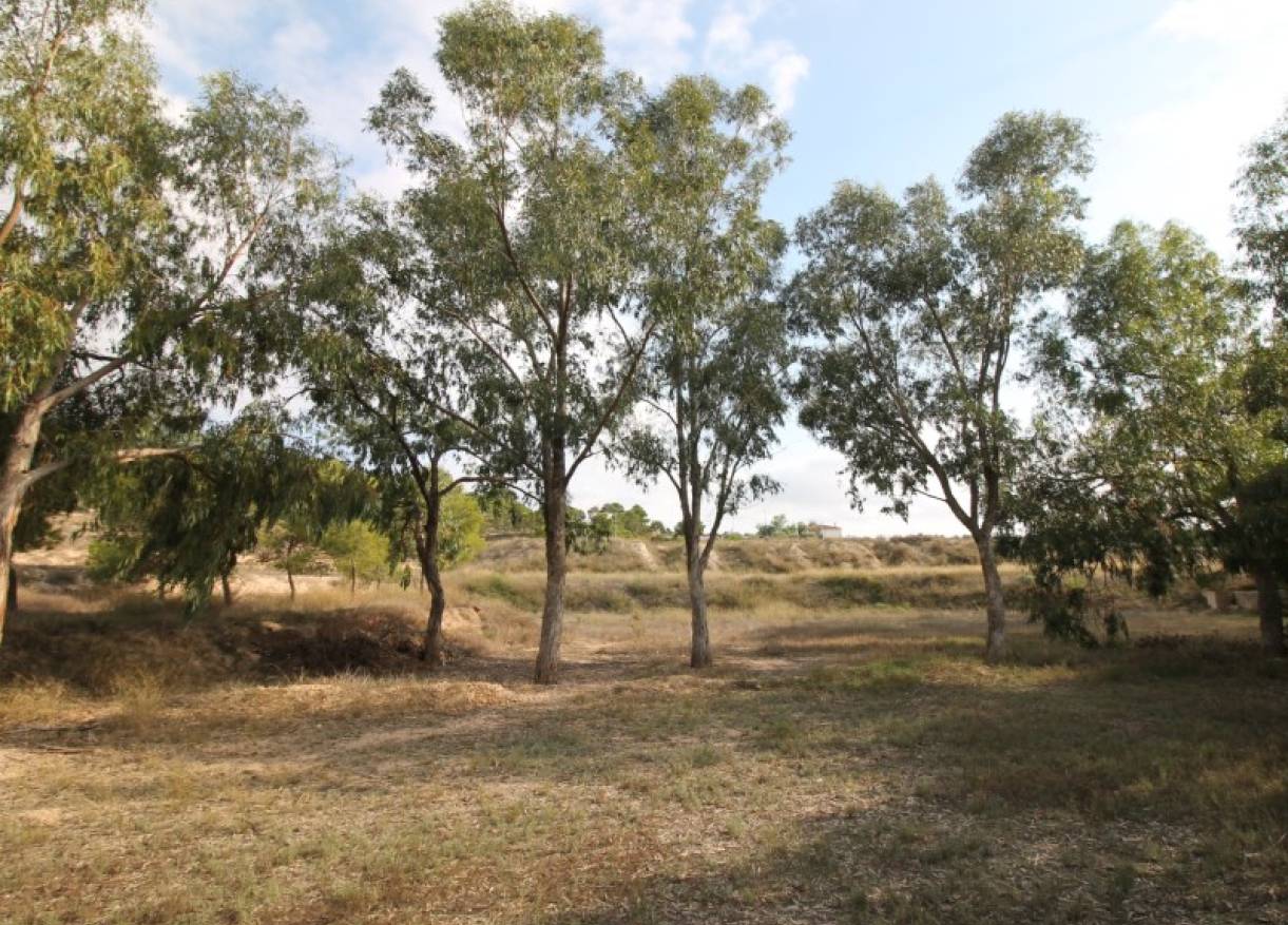 Bestaand - Villa - Aspe - Pedanías Este