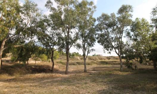 Bestaand - Villa - Aspe - Pedanías Este