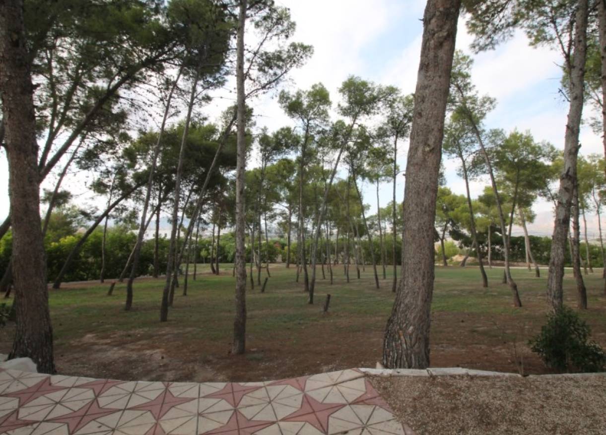 Bestaand - Villa - Aspe - Pedanías Este