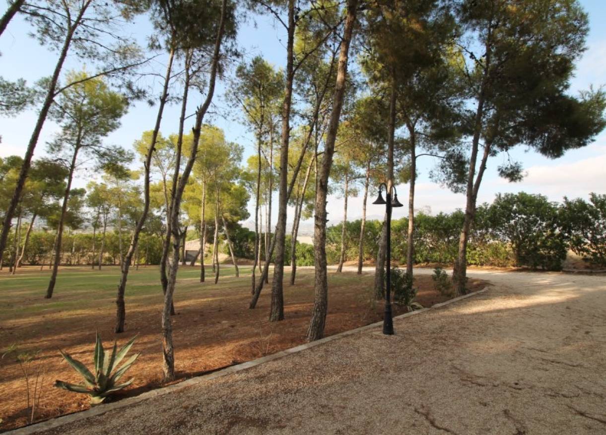 Bestaand - Villa - Aspe - Pedanías Este