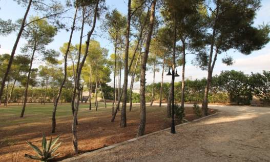 Bestaand - Villa - Aspe - Pedanías Este