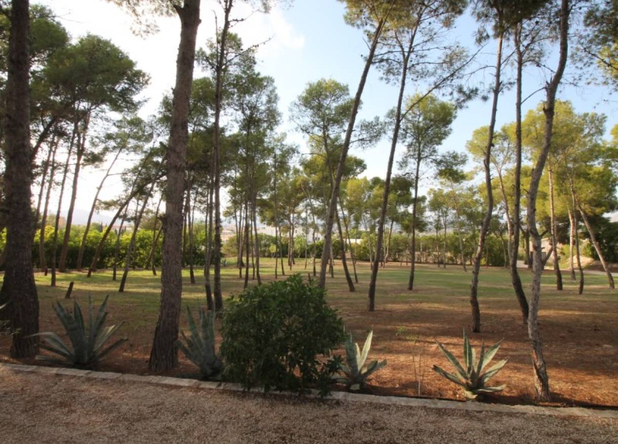 Bestaand - Villa - Aspe - Pedanías Este
