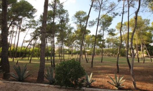 Bestaand - Villa - Aspe - Pedanías Este