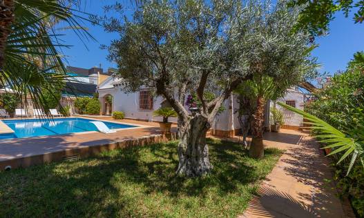 Bestaand - Villa - Orihuela Costa