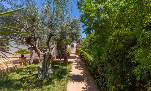 Bestaand - Villa - Orihuela Costa