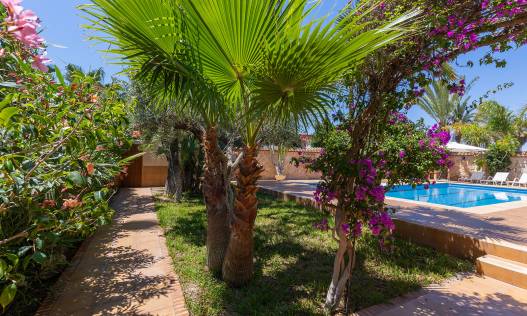 Bestaand - Villa - Orihuela Costa