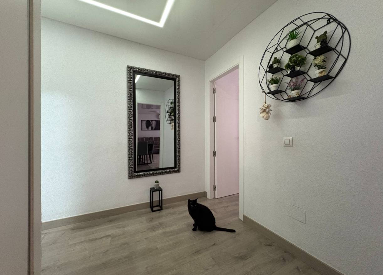 Bestaand - Appartement - Torrevieja - Centro