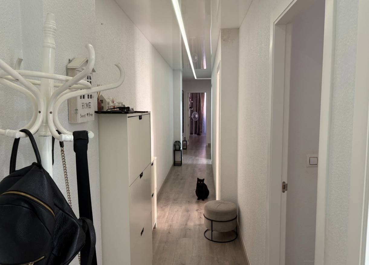 Bestaand - Appartement - Torrevieja - Centro