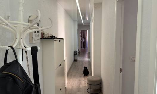 Bestaand - Appartement - Torrevieja - Centro