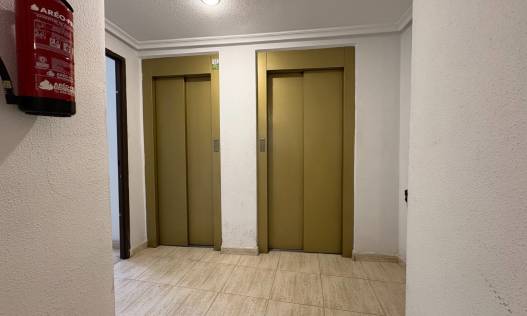 Bestaand - Appartement - Torrevieja - Centro