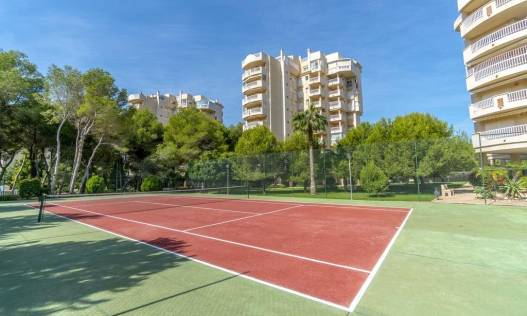 Bestaand - Appartement - Orihuela Costa - Altos de Campoamor