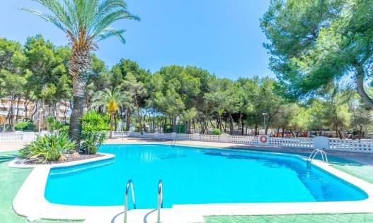 Bestaand - Appartement - Orihuela Costa - Altos de Campoamor
