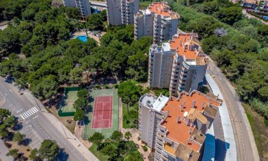 Bestaand - Appartement - Orihuela Costa - Altos de Campoamor