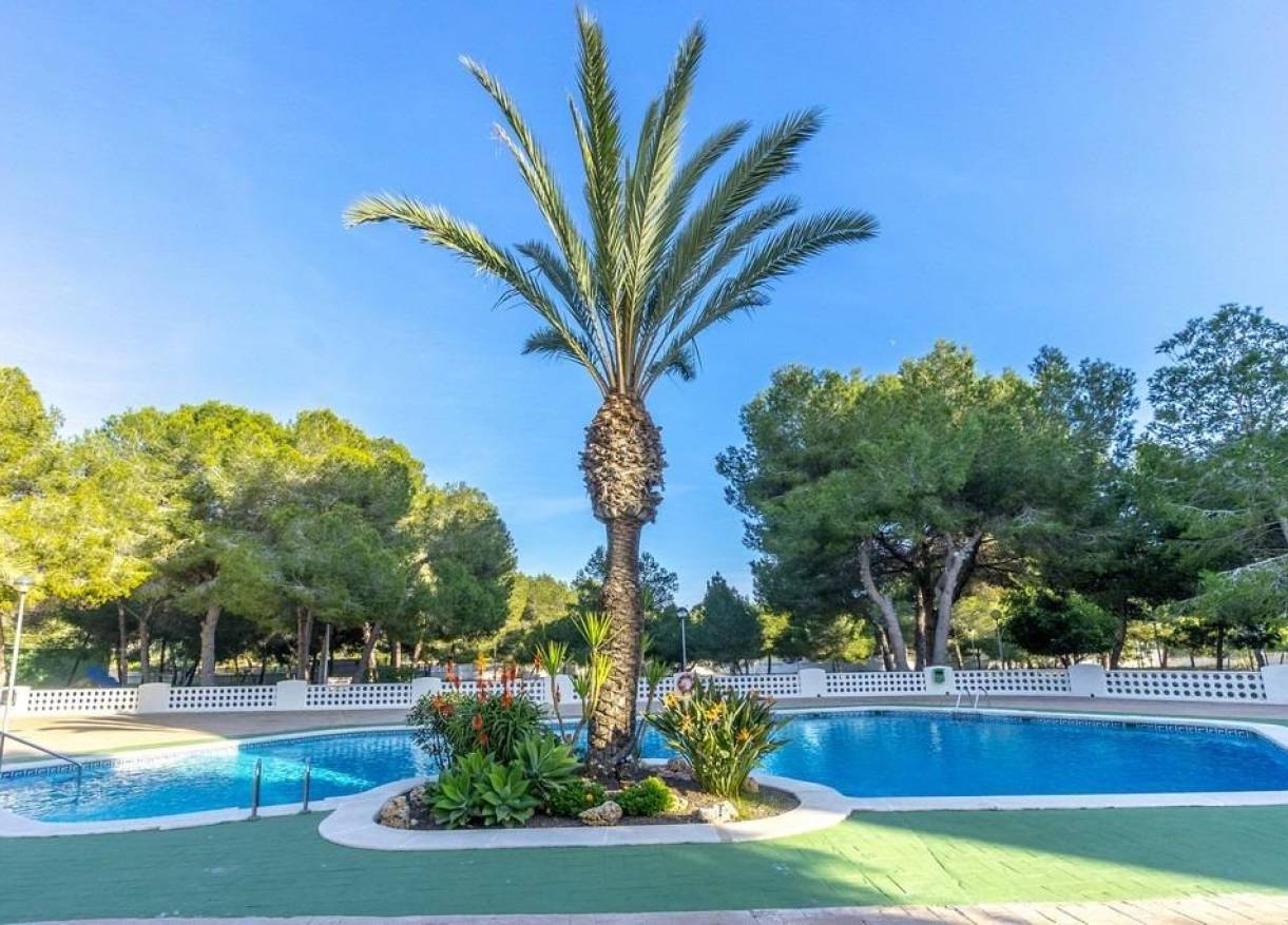 Bestaand - Appartement - Orihuela Costa - Altos de Campoamor