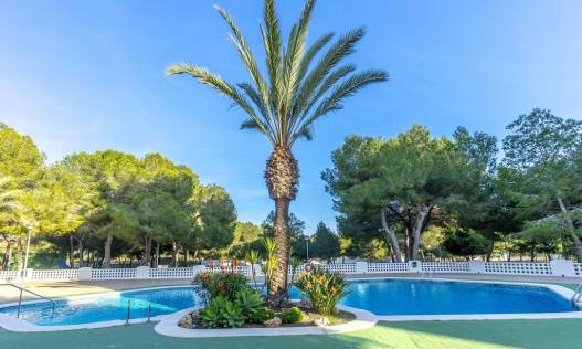 Bestaand - Appartement - Orihuela Costa - Altos de Campoamor