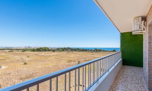 Bestaand - Appartement - Torrevieja
