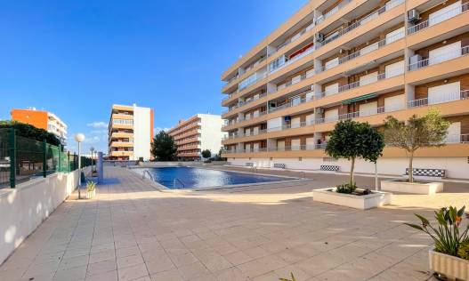 Bestaand - Appartement - Torrevieja