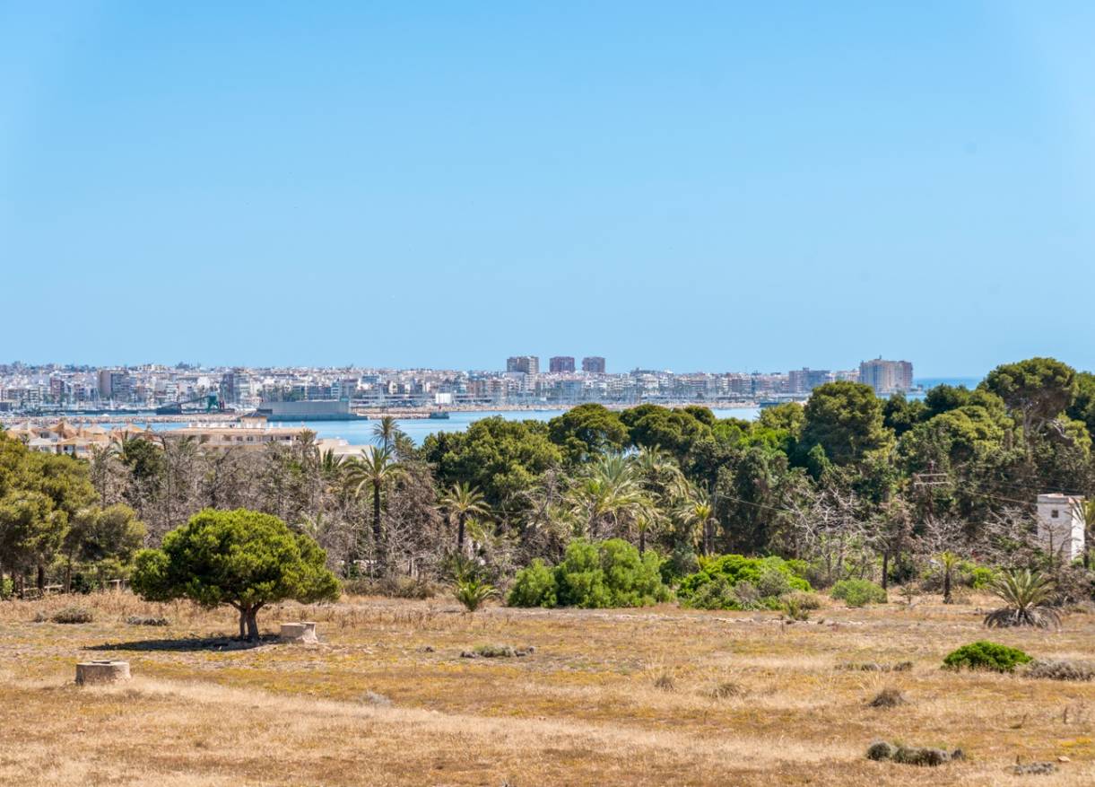 Bestaand - Appartement - Torrevieja