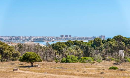 Bestaand - Appartement - Torrevieja