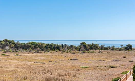 Bestaand - Appartement - Torrevieja