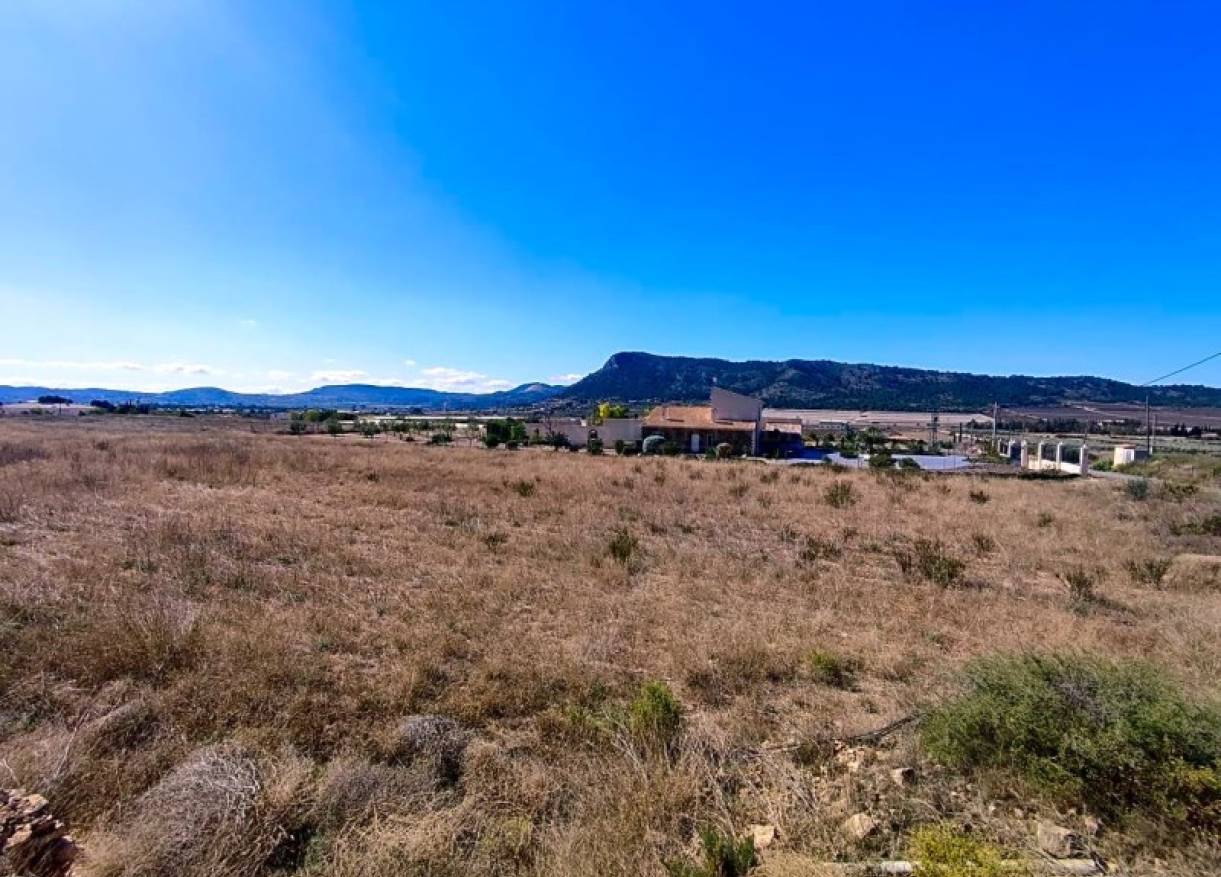 Bestaand - Bouwperceel - Aspe - Pedanías Oeste
